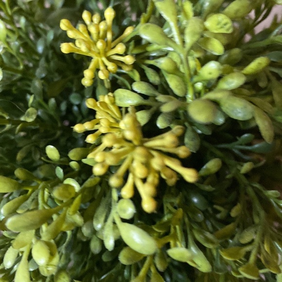 Potted Greenery - Picture 2 of 5